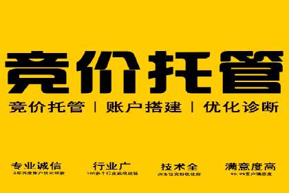 企业SEM托管服务成功案例分享